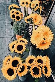 Aesthetic Black And Yellow Flowers Reyaudrey Davis Fur Mehr Blumen Hochzeit Sunflower Wallpaper Flower Aesthetic Flower Wallpaper