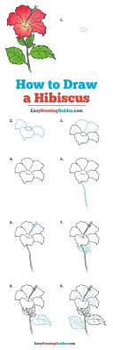 How To Draw A Hibiscus Really Easy Drawing Tutorial Flower Drawing Tutorials Hibiscus Drawing Drawing Tutorial Easy