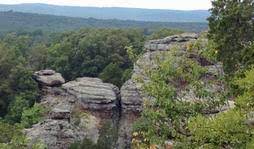 Maybe you would like to learn more about one of these? Home