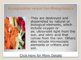 Biodegradable Versus Non Biodegradable