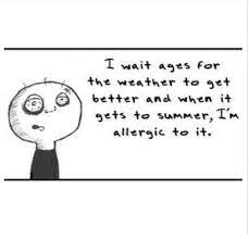 Hayfever Funny Quotes Hayfever Funny Tired Funny