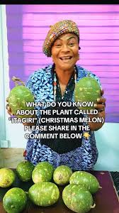 Image result for Lagenaria breviflora