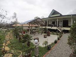 .btw, siapa2 yang berminat mahu cari kereta sewa boleh whatsapp. 5 Homestay Terbaik Di Mesilau Kundasang Untuk Anda C Letsgoholiday My