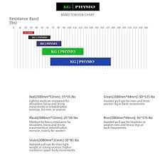 Kg Physio Resistance Bands Powerlifting Crossfit And Pull Up