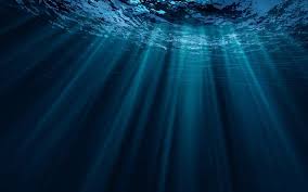 Full list of contestants revealed. Deep Water Point Linkedin