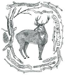 See more ideas about art, wild, fairy wallpaper. December Deer In A Winter Forest Frame Of Driftwood Wild Wild Woods Sketch Style Hand Drawing Stock Vector Illustration Of Silhouette Bough 70730860