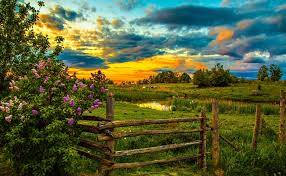 Helping your sons and daughters transform from young, impressionable children into knowledgeable, confident, and eager school. Spring Farm At Sunset Wallpaper And Hintergrund 1873x1156 Id 826130 Wallpaper Abyss