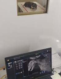 گالری بخش تصویر برداری | کلینیک آدورینا