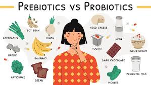 What are prebiotics? Let's take a look | Healthylife