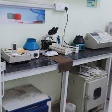 Lab view 5