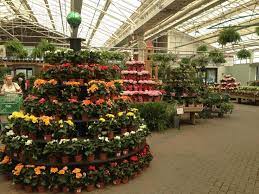 Garden world is a full service garden center that combines quality service with affordable pricing to meet all your gardening needs. Garden Center Display Ideas Google Search Garden Center Displays Garden Center Home And Garden Store