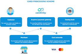 Card Processing Scheme Cardinity Financial Institutions Payment Informative