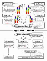 Gene And Chromosome Mutation Worksheet Beautiful 53 Gene Mutations Worksheet Chromosome Mutation Worksheet Teaching Biology Study Biology Biology Classroom