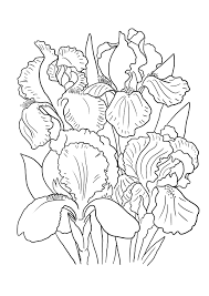 Some of the coloring page names are basket full of bread coloring basket full of bread, loaves of bread coloring, bread basket coloring book natural beard, wheat bread coloring best place to color, various kind of bread coloring best place to color, bread store coloring best place to color, 5 loaves. Flower Coloring Pages