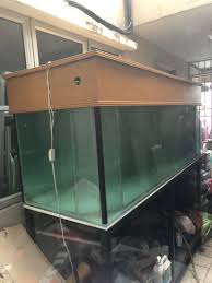 Our aquarium selection is unmatched by anyone in arizona. Aquarium Fish Tank 6 Feet With Stand Pet Supplies Pet Accessories On Carousell