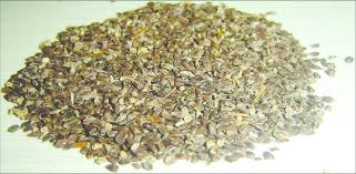 Image result for Hygrophila schulli