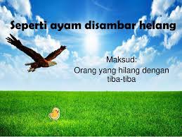 4 seperti ayam disambar helang maksud: Peribahasa Melayu Ppt Download