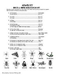 Insects And Spiders Dichotomous Key Dichotomous Key Key Coordinate Graphing