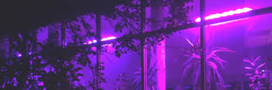 Contoh soal pelajaran puisi dan pidato populer baby blue. Aesthetic Dark Purple Twitter Header Total Update