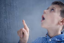 Image result for Echophenomena