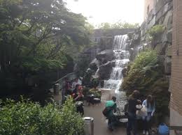Except for the people of seattle. Relax In Seattle S Waterfall Garden Park Travel Palate