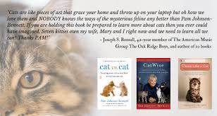 These can be anything from moving to a new home, a new pet or a new baby in the house, or even illness and aging. Why Does My Cat Chew Or Lick Plastic Bags