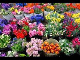 Maybe you would like to learn more about one of these? Los Angeles Flower District Youtube