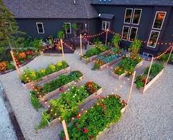 Great backyard design ideas to incorporate vegetable gardens can add a unique decorative element to your homes curbside areas as well. Pin On Future Home
