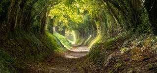 Closure of Geoffrey Parker Bourne Solicitors, Stratford upon Avon