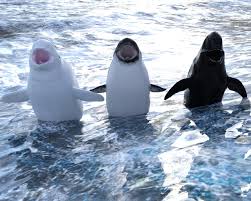 Fur affinity , also known as fa , is the furry fandom 's largest online. Meet 3 New Whales 3 3 By Werewolfcz Fur Affinity Dot Net