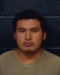 Woman arrested after hitting police vehicle