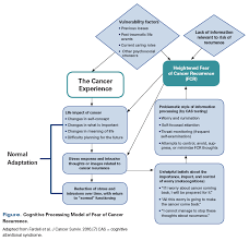 Not just when you're first diagnosed, but right through treatment and even years later. Fear Of Cancer Recurrence A Practical Guide For Clinicians