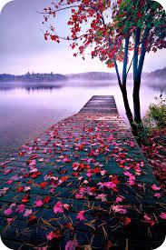 Sunset beautiful nature sea pictures hd. Jan Jansen Daily Poems About Life Love Poetry Stories Portal Nature Wallpaper Nature Photography Nature Pictures