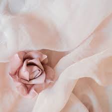 Susitikimai besilaukiančioms mamoms – Matulaičio SPC