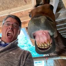 Brian Munhall (@BrianMunhall19)