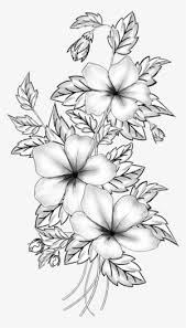 How do you draw flowers step by step? Floral Design Cut Flowers Drawing Branch M 02csf Flower Pencil Sketches Png Transparent Png 633x1060 Free Download On Nicepng