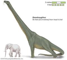 Titanosaurs 8 Of The World S Biggest Dinosaurs In 2020 Species Dinosaur World S Biggest