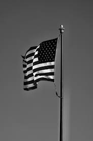 Infrared patches, for example, have a camouflaged background with black stars and stripes overlaid. Black Flag Pictures Download Free Images On Unsplash