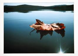 Check out top honors in 2010 CNY Scholastic Art Awards