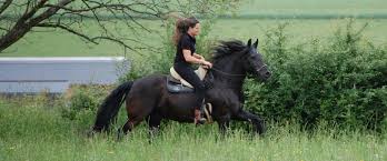 See what's on rai italia and watch on demand on your tv or online! Home Rai Reiten Sauerland