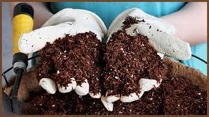 Check spelling or type a new query. The Pros And Cons Your Guide To Growing In Coco Coir