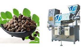 Introduction Of Moringa Oil Press Machine 1 The Automatic Moringa Oil Press Machine Is Composed Of Vac How To Cook Zucchini Cooking Oil Filter Dog Food Recipes