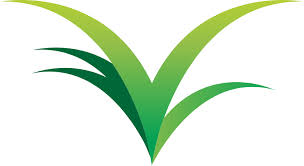Near you 20+ lawn treatment services near you. Home Perf A Lawn