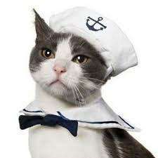1 Set Pet Sailor Suit Navy Uniform Hat Collar Bow Tie Dog Cat Cosplay Costume Pet Halloween Costumes Cat Halloween Costume Cat Costumes