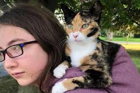 Fundraiser for Tammy Cornell by Rachel Elmore : Help Tammy and Jota with  Extended Stay Expenses