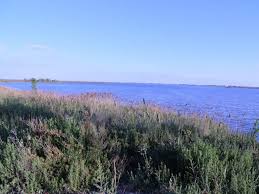 Si oui jusqu'a quelle hauteur, quelles autorisations faut il. Reglementation Etang Parcelle A Vendre