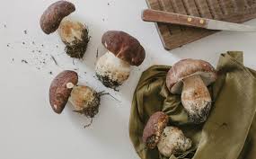 Come congelare i funghi porcini crudi. Come Pulire E Tagliare I Funghi Porcini Cucina Corriere It