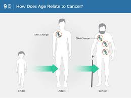 All cancers begin in cells. What Is Cancer National Cancer Institute