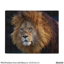 Apr 14, 2021 · free daily jigsaw puzzles, choose your puzzle cut, new picture daily. Wild Predator Lion With Mane Jigsaw Puzzle Zazzle Com Jigsaw Puzzles Cat Theme Photo Box