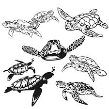 Free Free 204 Baby Sea Turtle Svg SVG PNG EPS DXF File